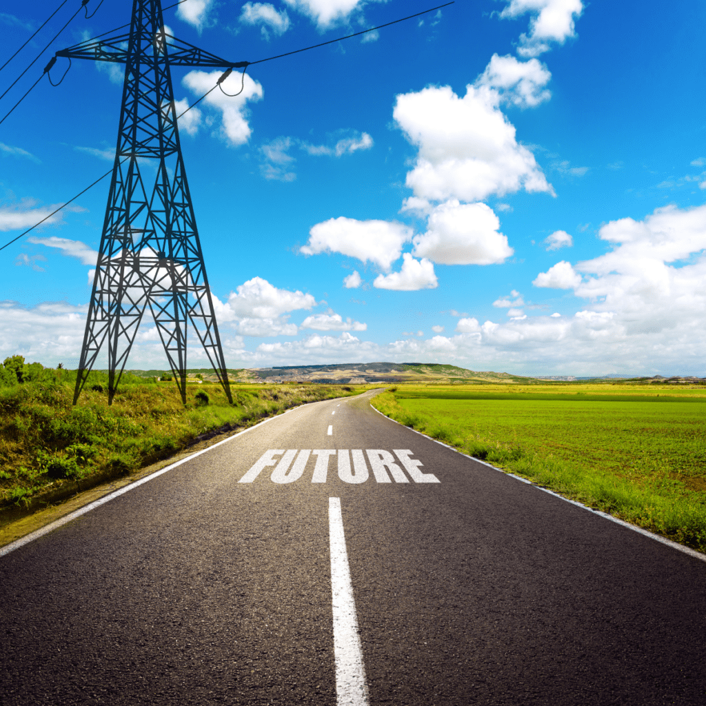 Future of the U.S. Electricity Market - Regulated Utilities