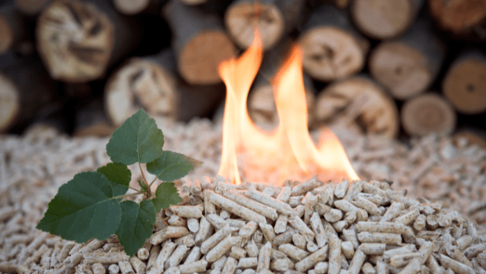 Biomass Electric
