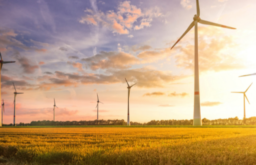 wind farm