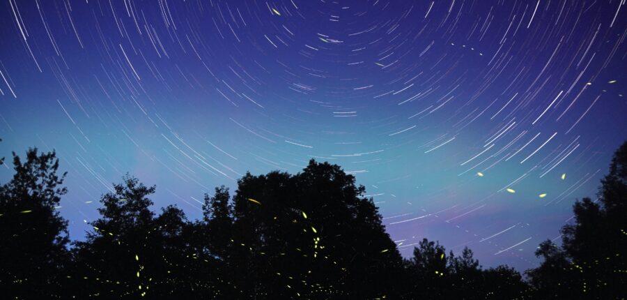 maine night sky