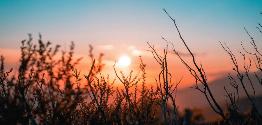 photo of landscape sunrise for PCI Energy Solutions blog post, "Setting the Stage for Change: What the SPP RTO Expansion Means for the Mountain West"