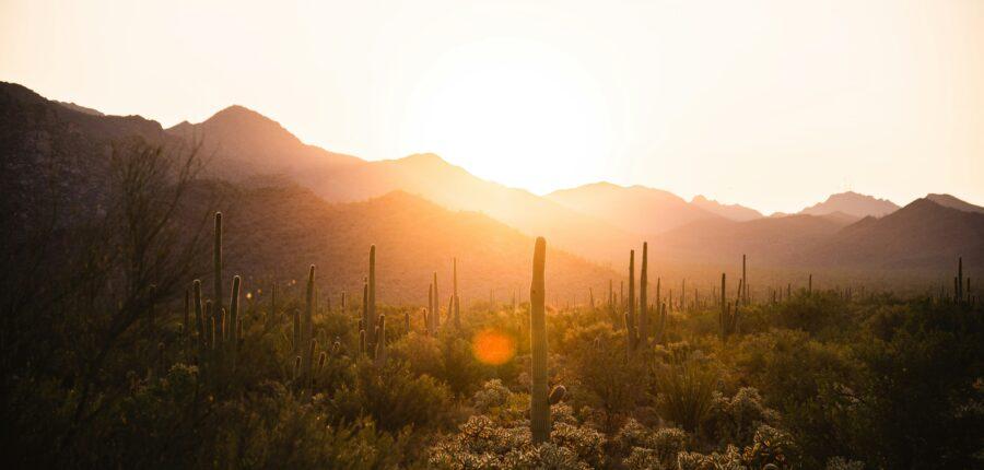 arizona sunrise