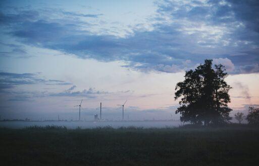 Long-Term Planning Software