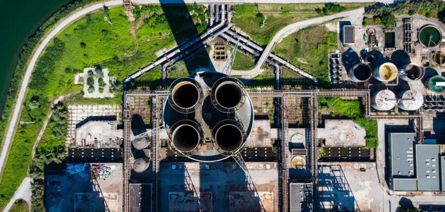 plant from above